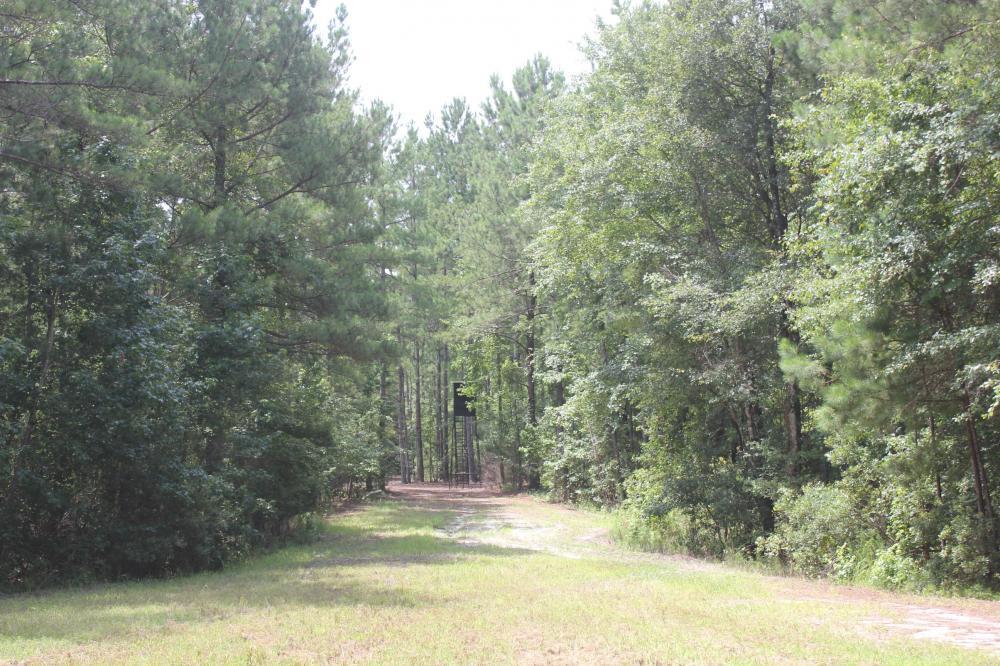 0 Strong Road Andrews, SC 29510 - Photo 11 of 11 11