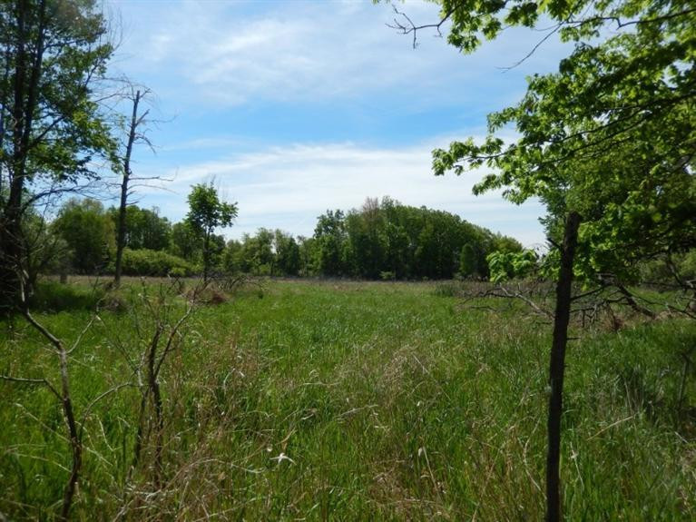 0 Mushbach Road Grass Lake, MI 49240 - Photo 12 of 13 Photo 12