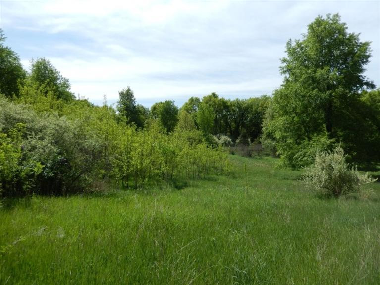0 Mushbach Road Grass Lake, MI 49240 - Photo 13 of 13 Photo 13