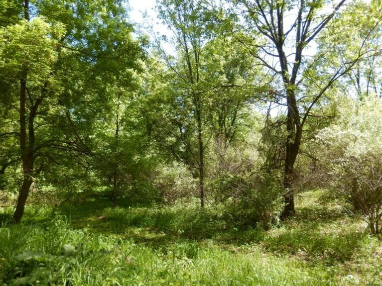 0 Mushbach Road Grass Lake, MI 49240 - Photo 2 of 13 Photo 2