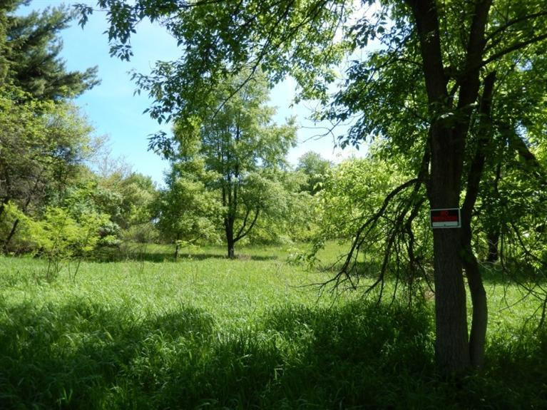 0 Mushbach Road Grass Lake, MI 49240 - Photo 3 of 13 Photo 3