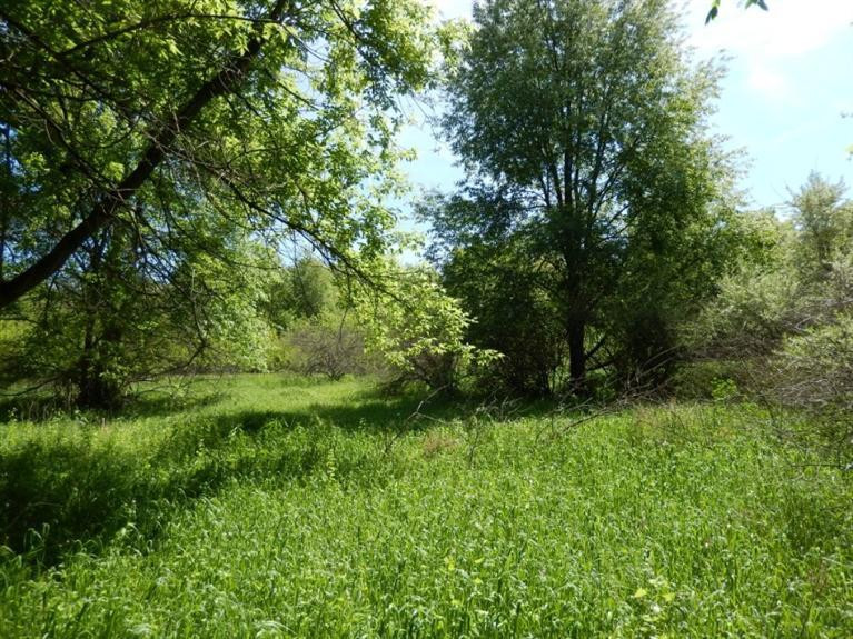 0 Mushbach Road Grass Lake, MI 49240 - Photo 4 of 13 Photo 4