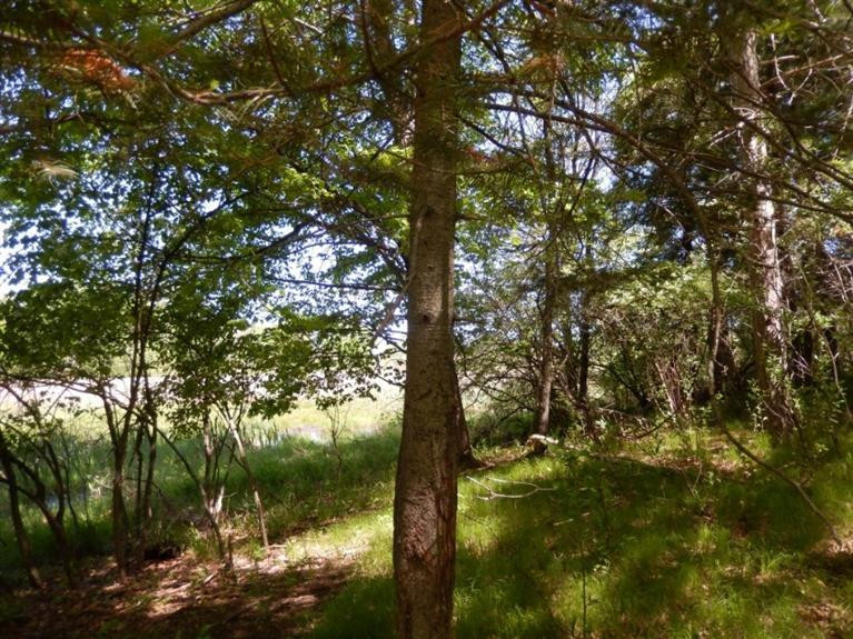 0 Mushbach Road Grass Lake, MI 49240 - Photo 7 of 13 Photo 7