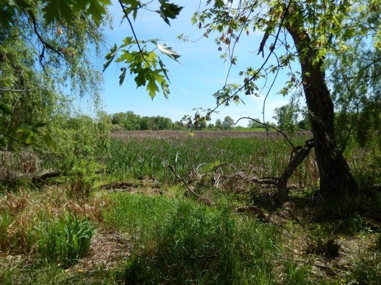 0 Mushbach Road Grass Lake, MI 49240 - Photo 10 of 13 Photo 10