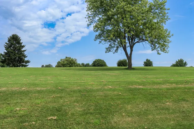 a view of yard with trees