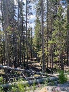 Lot 656 Alice Road Idaho Springs, CO 80452 - Photo 1 of 15 Gallery Image 1