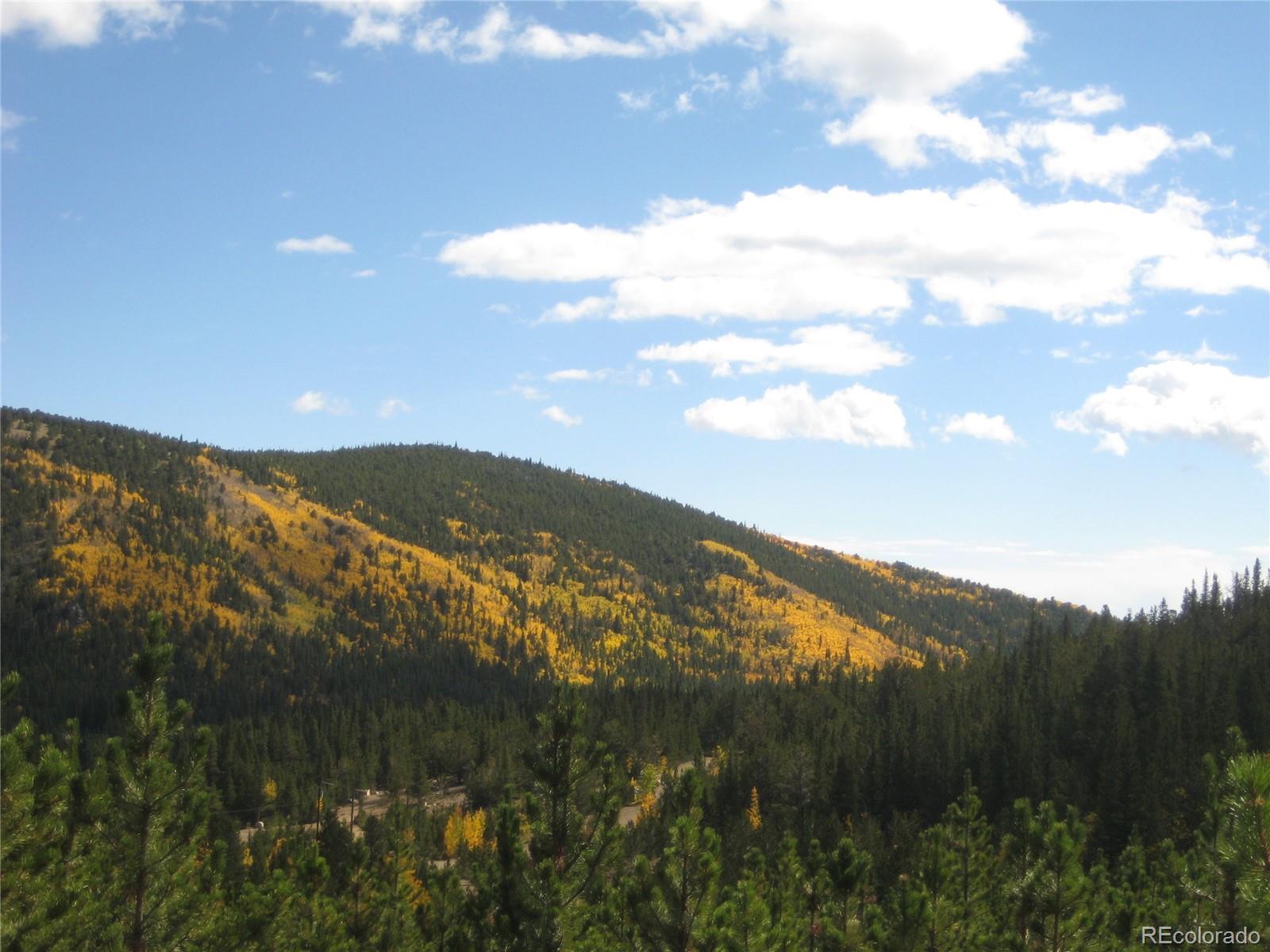 Lot 656 Alice Road Idaho Springs, CO 80452 - Photo 11 of 15 Gallery Image 11
