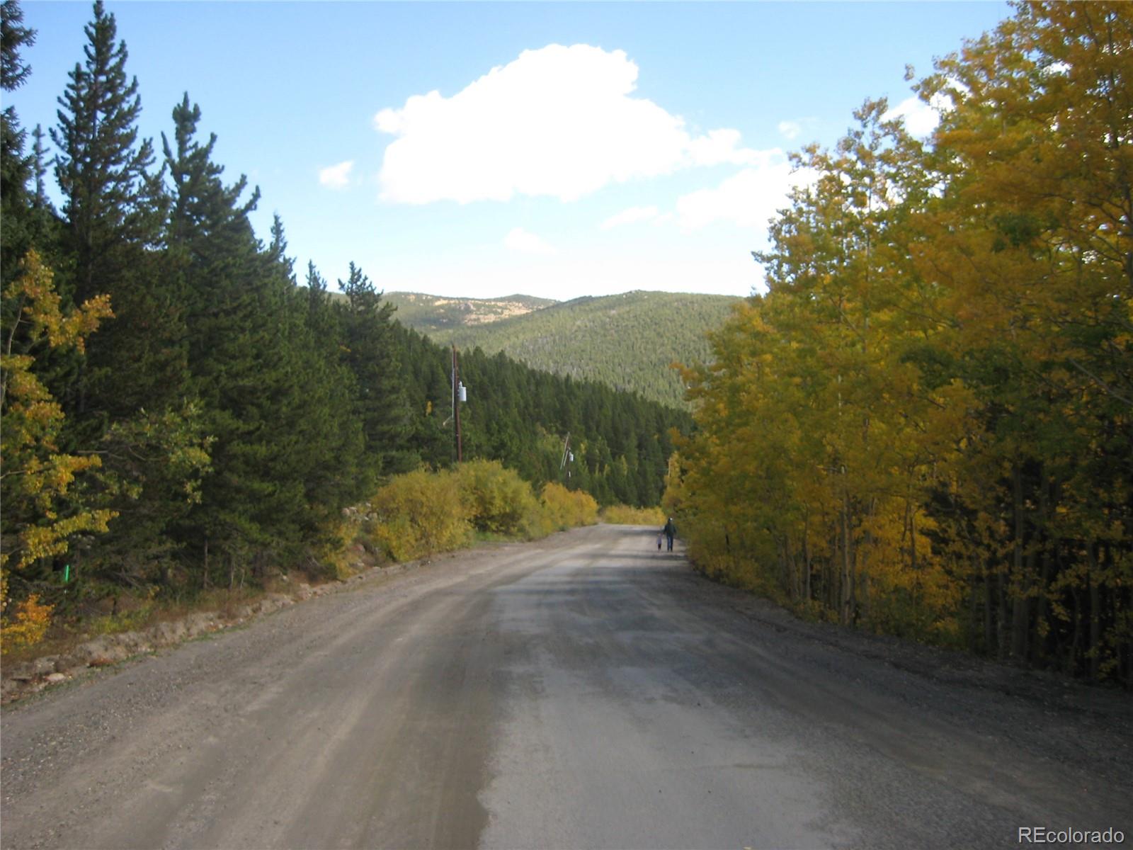 Lot 656 Alice Road Idaho Springs, CO 80452 - Photo 15 of 15 Gallery Image 15