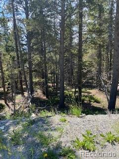 Lot 656 Alice Road Idaho Springs, CO 80452 - Photo 2 of 15 Gallery Image 2