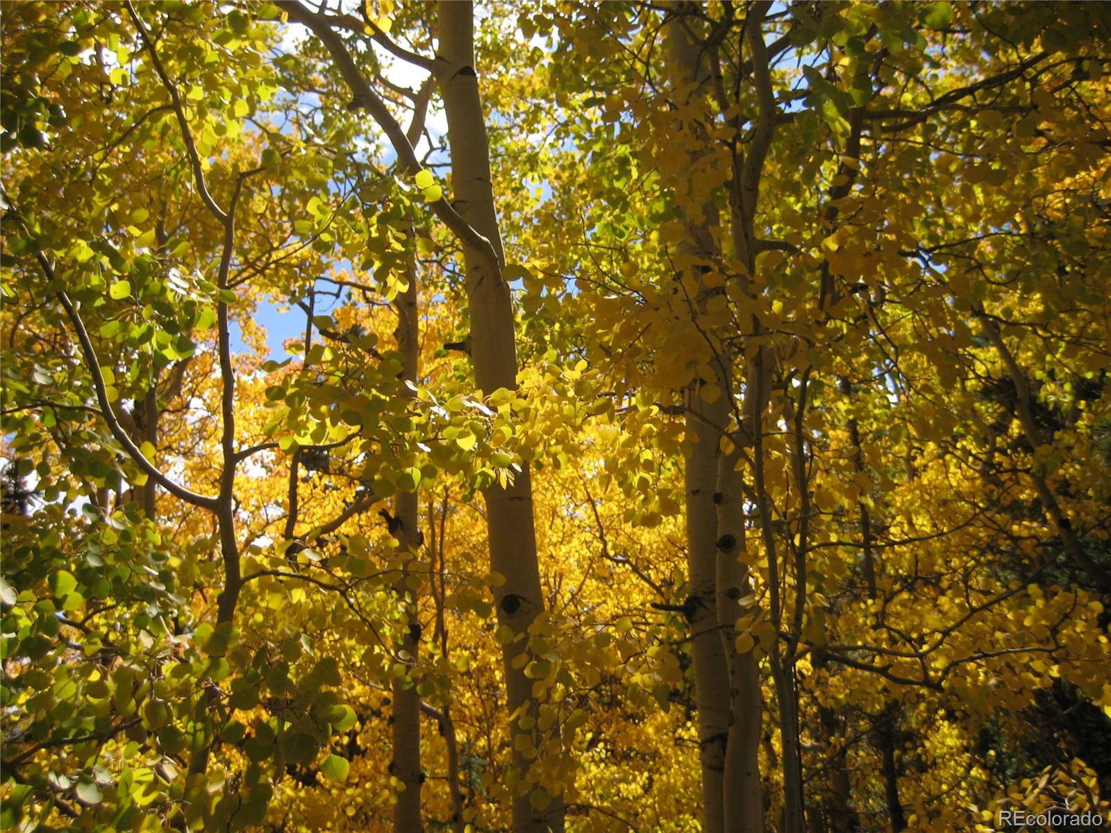 Lot 656 Alice Road Idaho Springs, CO 80452 - Photo 3 of 15 Gallery Image 3