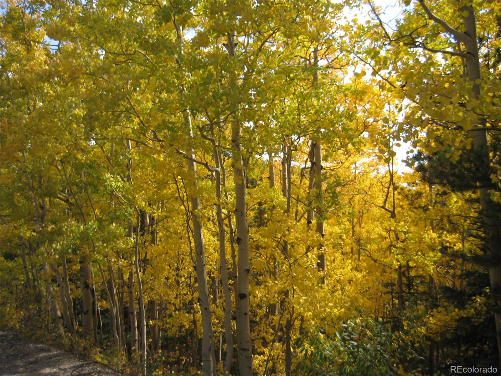 Lot 656 Alice Road Idaho Springs, CO 80452 - Photo 5 of 15 Gallery Image 5