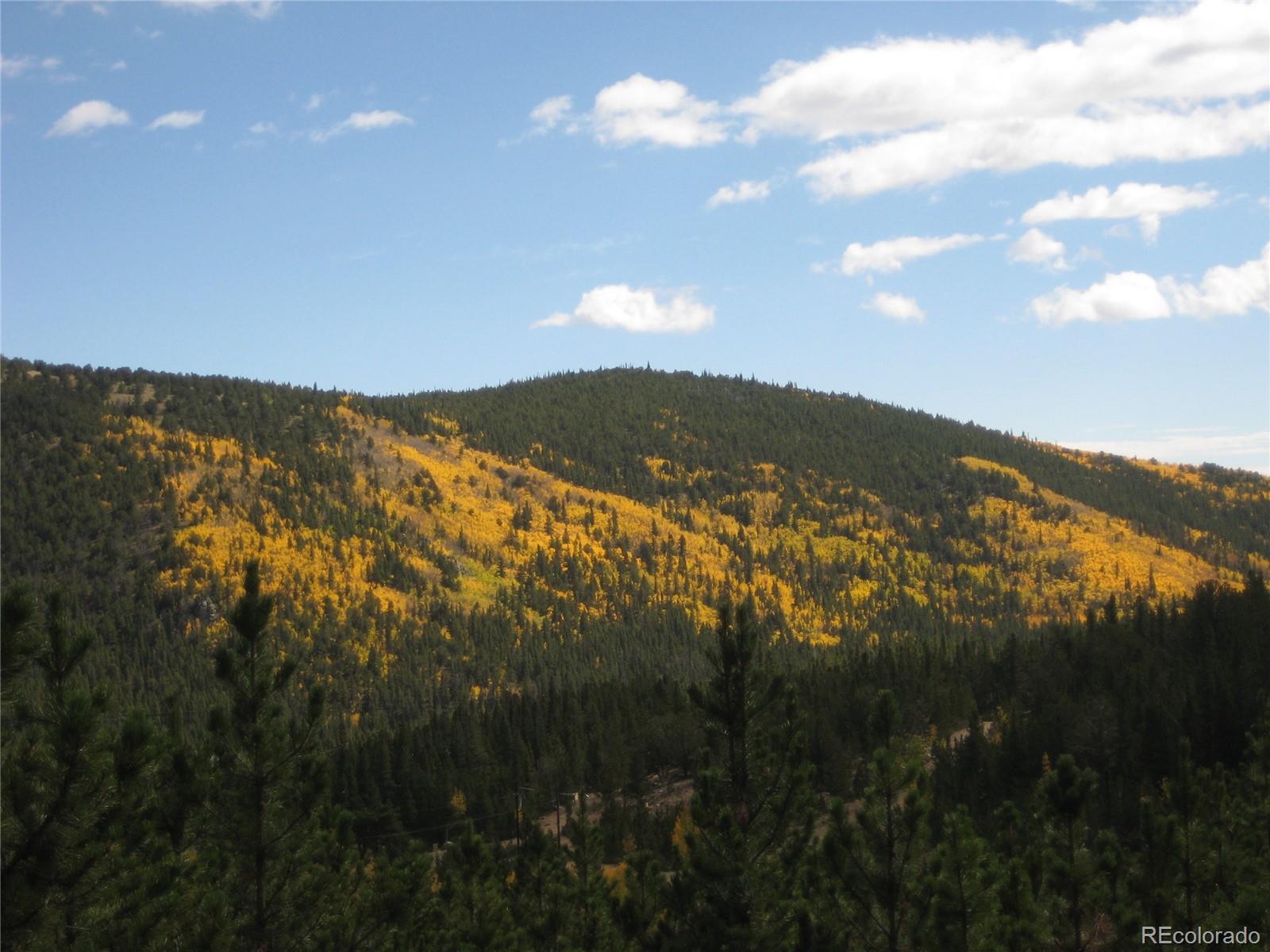 Lot 656 Alice Road Idaho Springs, CO 80452 - Photo 6 of 15 Gallery Image 6