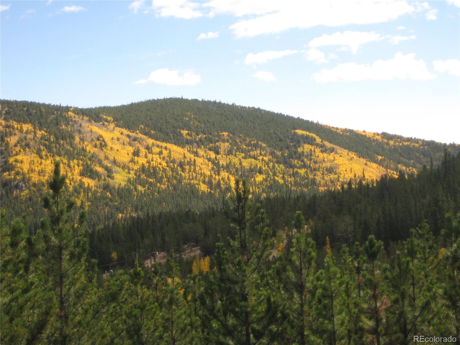 Lot 656 Alice Road Idaho Springs, CO 80452 - Photo 7 of 15 Gallery Image 7