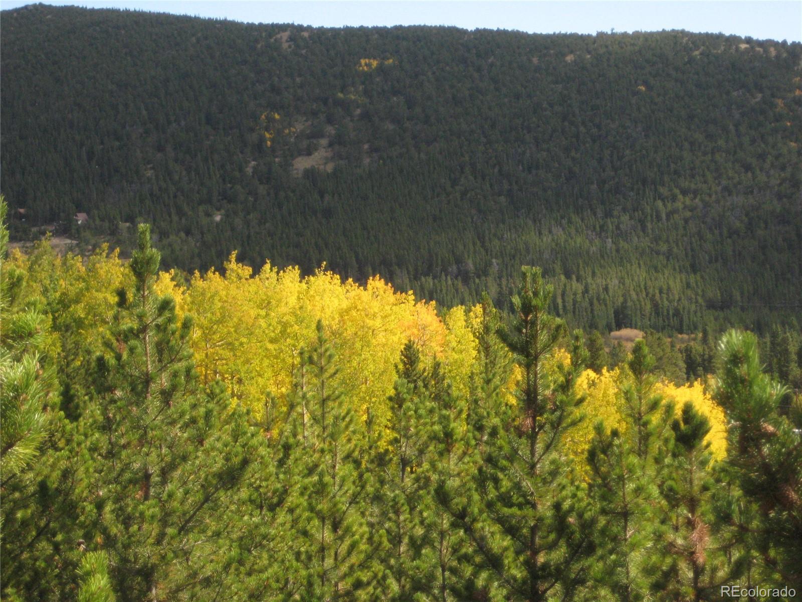 Lot 656 Alice Road Idaho Springs, CO 80452 - Photo 8 of 15 Gallery Image 8