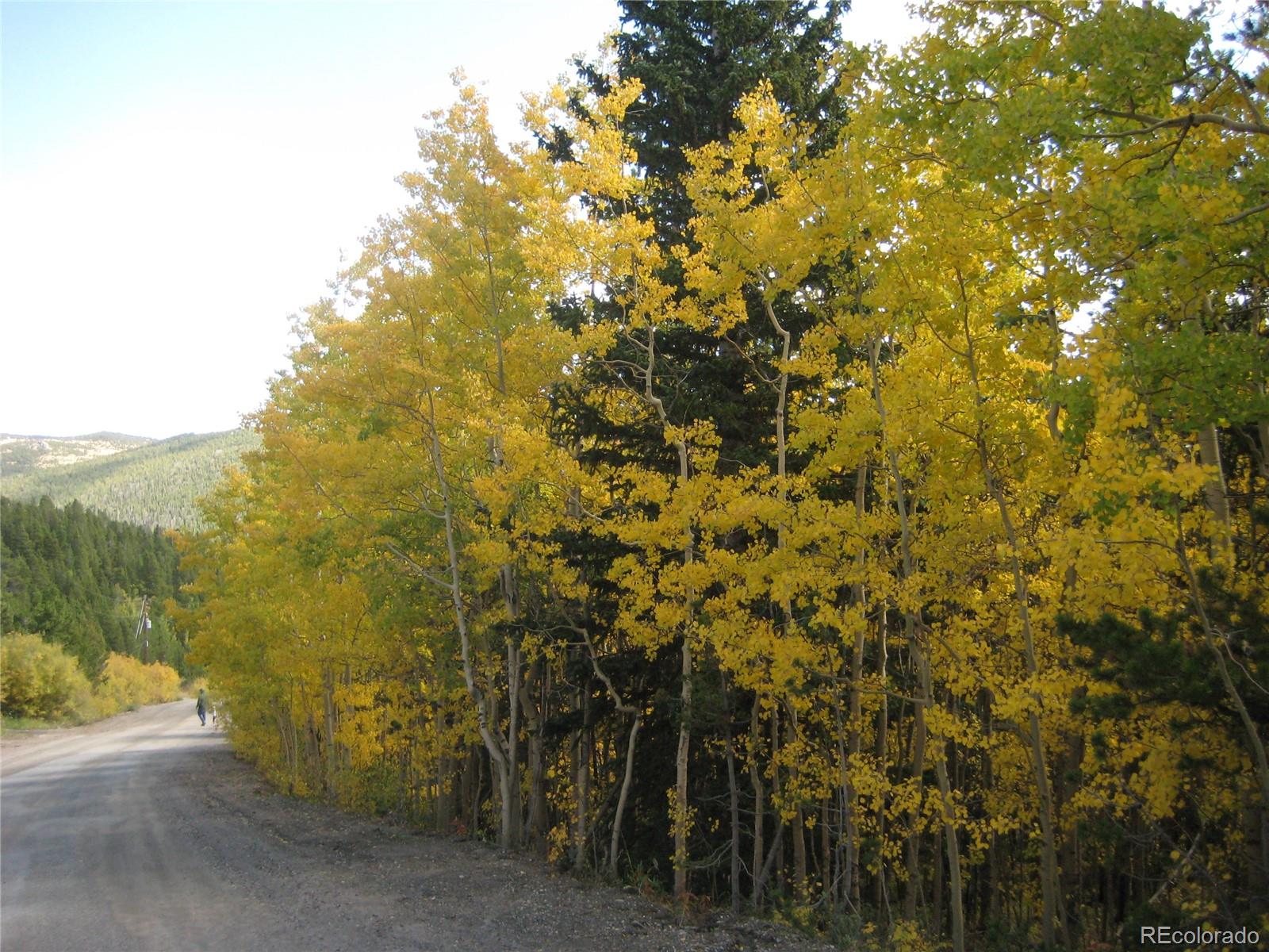 Lot 656 Alice Road Idaho Springs, CO 80452 - Photo 9 of 15 Gallery Image 9