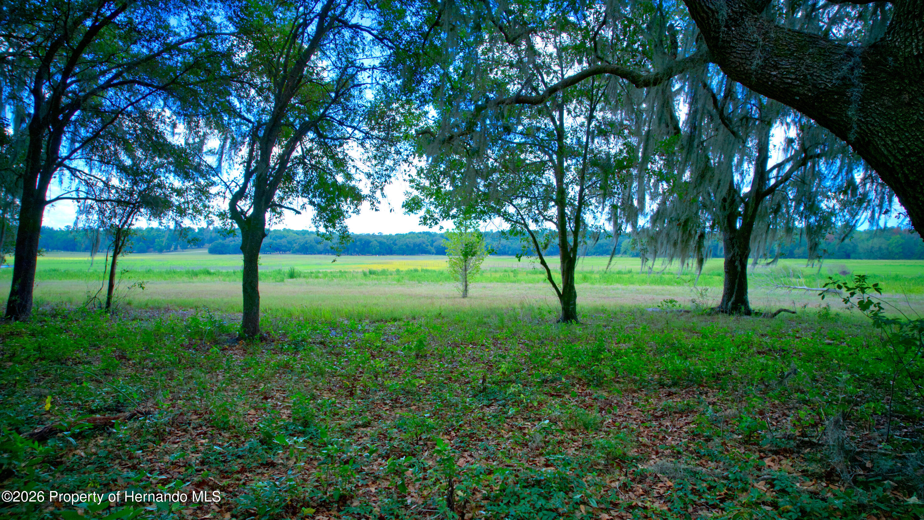 3267 Neff Lk Road Brooksville, FL 34602 - Photo 63 of 82