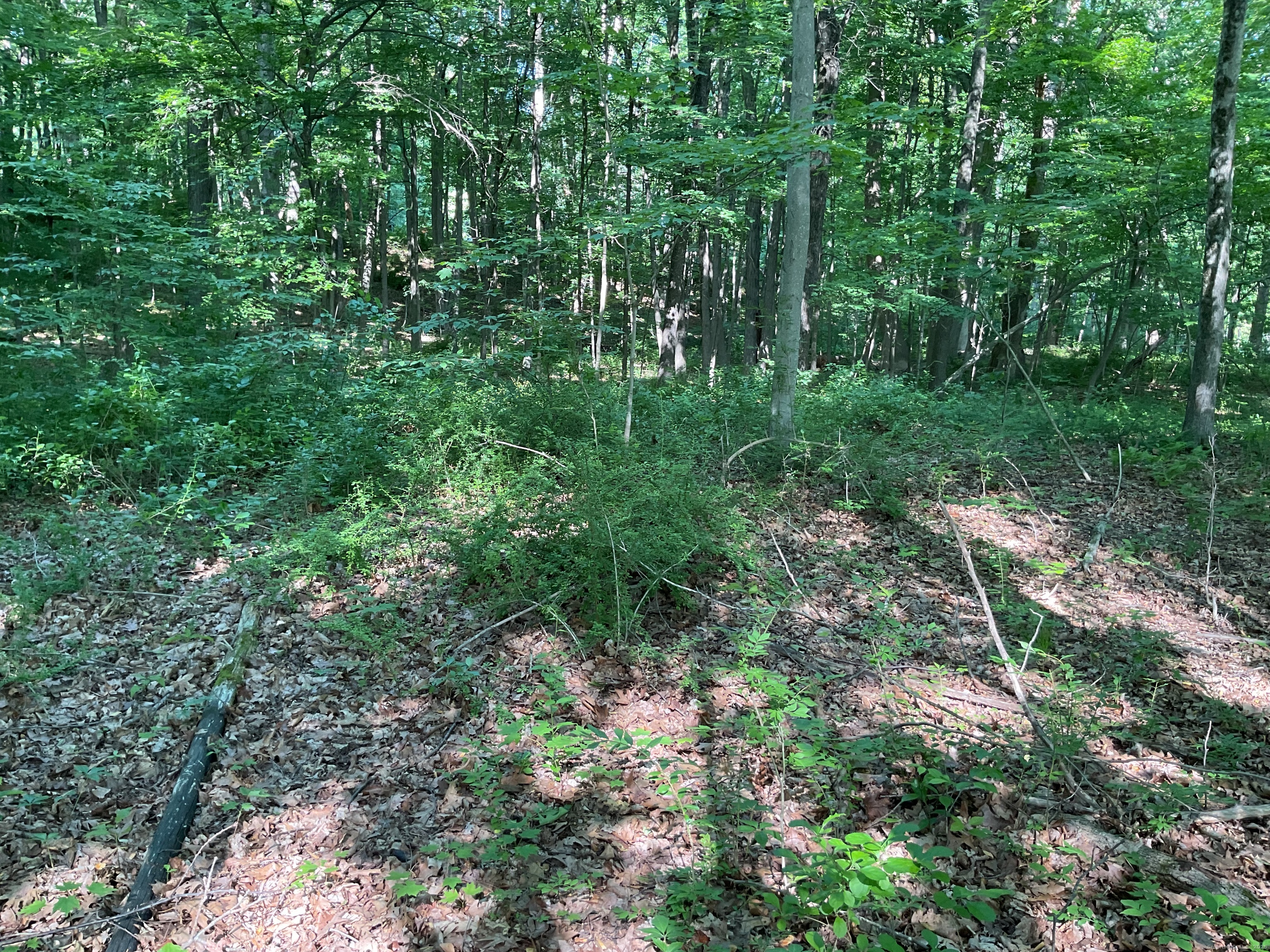 176 Picketts Ridge Road Redding, CT 06896 - Photo 3 of 5