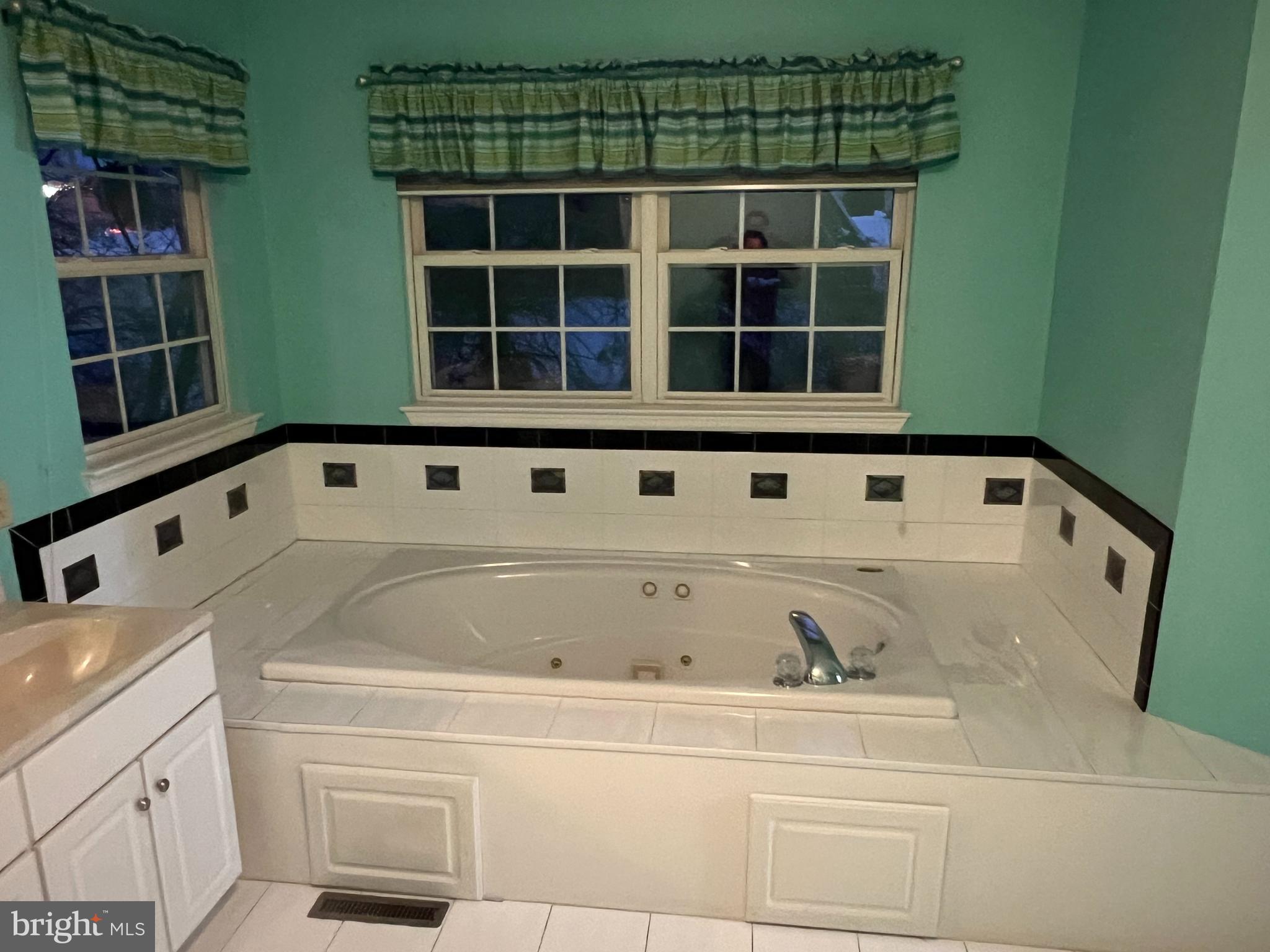 1 Overview Court Reading, PA 19607 - Photo 13 of 27 Master Bath with jacuzzi tub