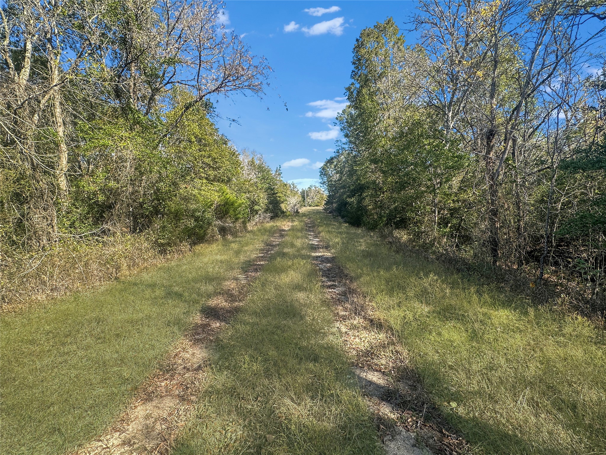 2845 Boehnke Road Muldoon, TX 78949 - Photo 8 of 14