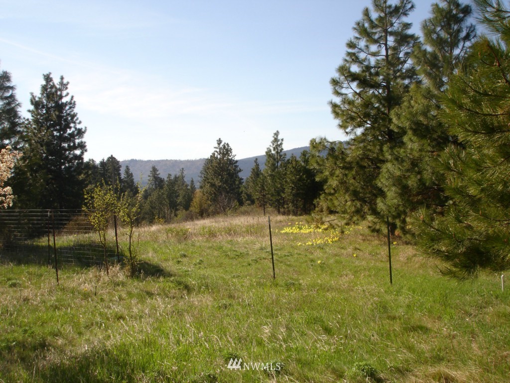 352 Danko Road Cle Elum, WA 98922 - Photo 14 of 17 Gallery Image 14