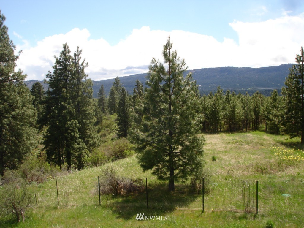352 Danko Road Cle Elum, WA 98922 - Photo 15 of 17 Gallery Image 15