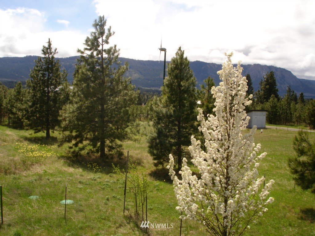 352 Danko Road Cle Elum, WA 98922 - Photo 16 of 17 Gallery Image 16