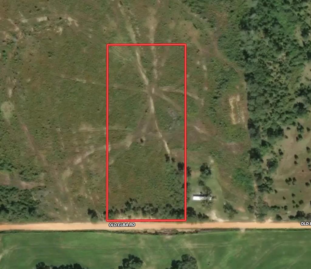 6-ac Old Elba Road Coffee Springs, AL 36318 - Photo 3 of 15