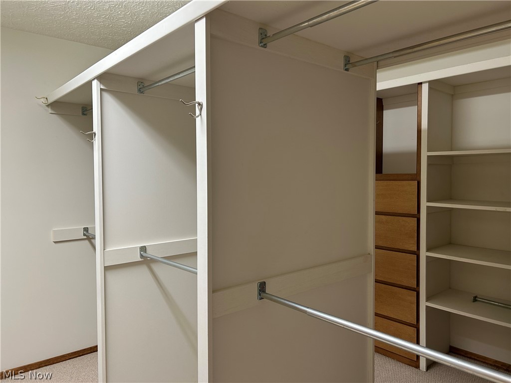 8763 Timber Edge Drive North Ridgeville, OH 44039 - Photo 21 of 40 Walk in closet with carpet