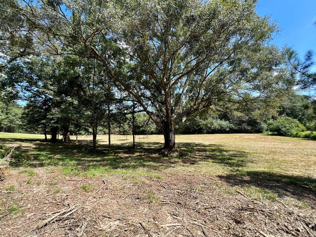 1071 Laura Lane Summit, MS 39666 - Photo 34 of 54 Photo 34