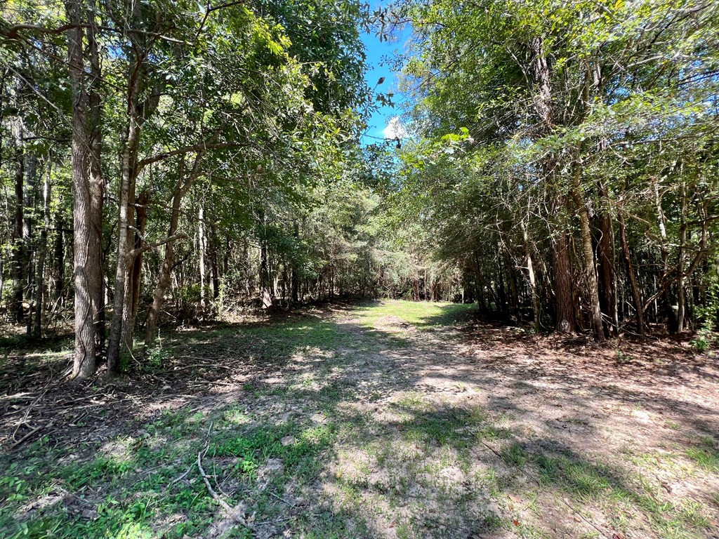 1071 Laura Lane Summit, MS 39666 - Photo 42 of 54 Photo 42