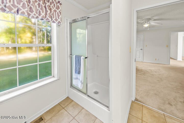 139 Sunset Avenue Merritt, NC 28556 - Photo 20 of 60 Primary Bathroom