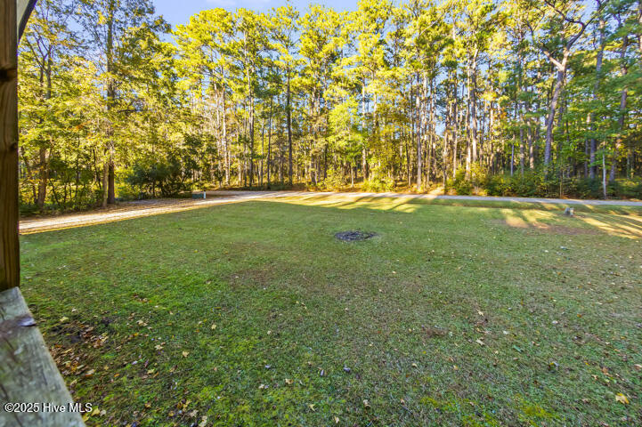 139 Sunset Avenue Merritt, NC 28556 - Photo 36 of 60 Front Yard