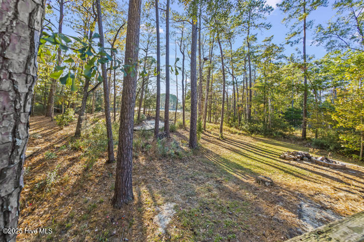 139 Sunset Avenue Merritt, NC 28556 - Photo 54 of 60 Wooded Backyard