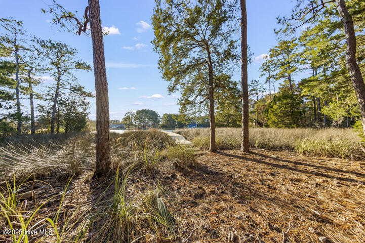 139 Sunset Avenue Merritt, NC 28556 - Photo 55 of 60 Wooded Backyard and Dock