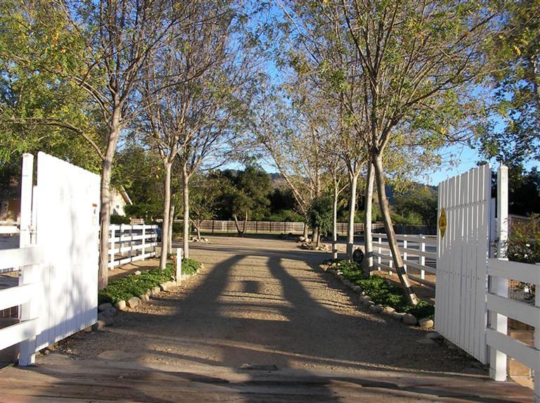 210 Burnham Road Oak View, CA 93022 - Photo 2 of 17 a view of a yard with plants and large trees
