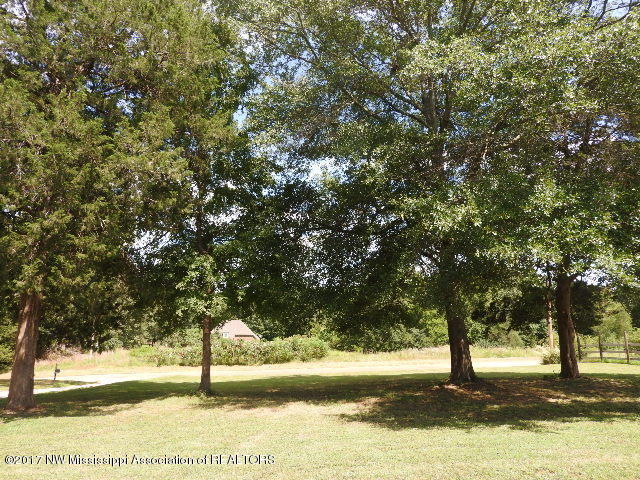 313 Spring Run Road Coldwater, MS 38618 - Photo 11 of 44