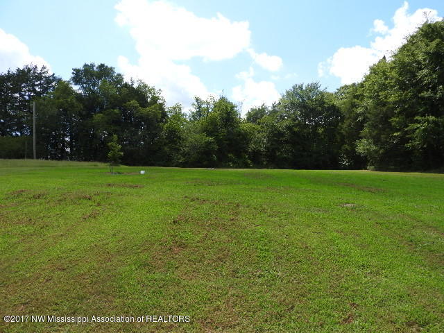 313 Spring Run Road Coldwater, MS 38618 - Photo 16 of 44