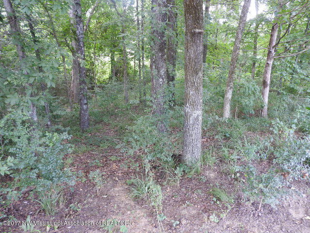313 Spring Run Road Coldwater, MS 38618 - Photo 38 of 44