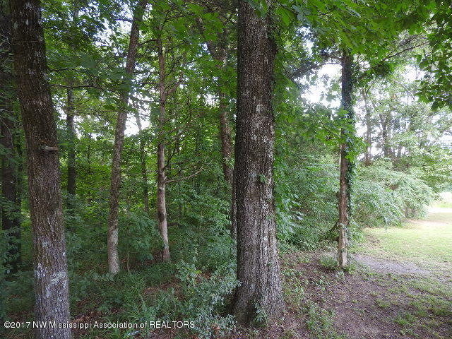 313 Spring Run Road Coldwater, MS 38618 - Photo 39 of 44
