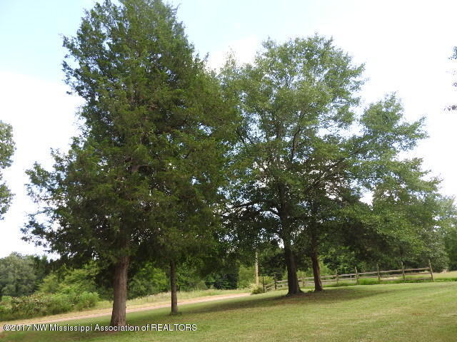 313 Spring Run Road Coldwater, MS 38618 - Photo 41 of 44