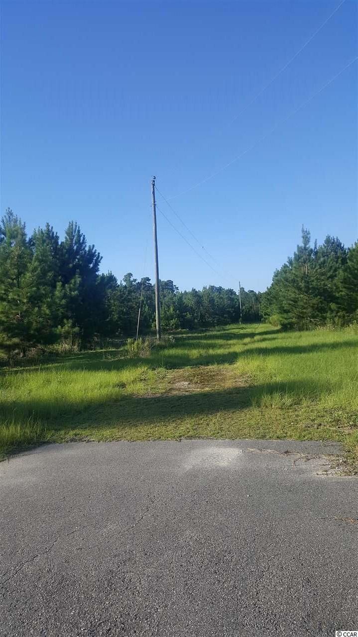 Whispering Hills Road Loris, SC 29569 - Photo 1 of 4 Gallery Image 1