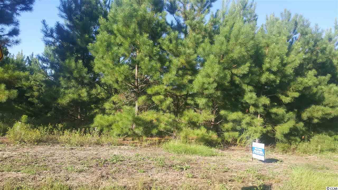 Whispering Hills Road Loris, SC 29569 - Photo 3 of 4 Gallery Image 3