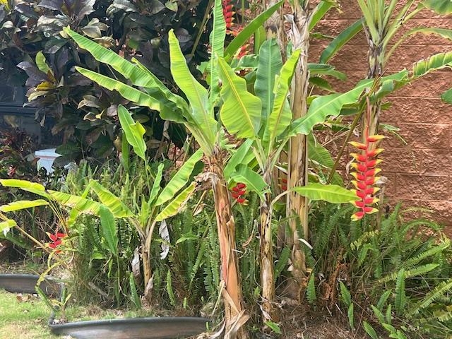 3959 Lower Honoapiilani Road, Unit 304 Lahaina, HI 96761 - Photo 25 of 31