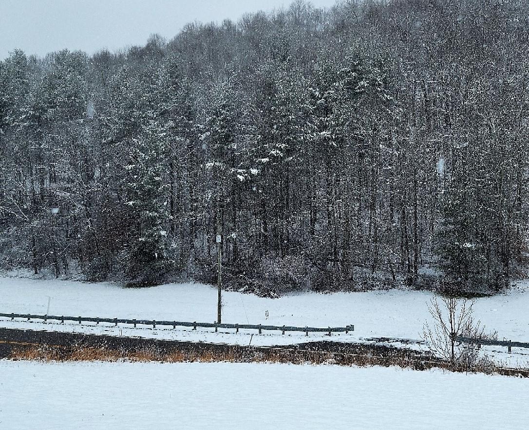 Lot 4 Whitetop Road, Unit 4 Chilhowie, VA 24319 - Photo 1 of 5 20210108_130226 (2)