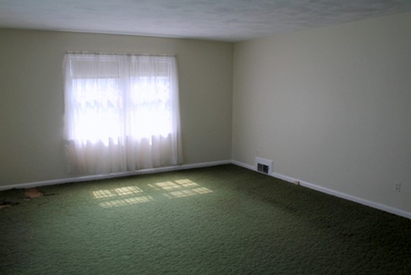 108 Cuff Avenue Springfield, MA 01104 - Photo 6 of 27 Gallery Image 6