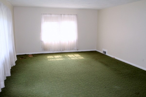 108 Cuff Avenue Springfield, MA 01104 - Photo 8 of 27 Gallery Image 8