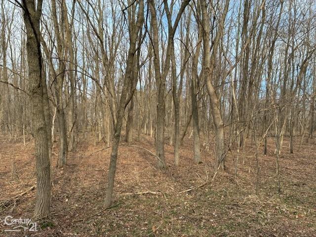 0 Marshall Road Ann Arbor, MI 48104 - Photo 1 of 17 Gallery Image 1