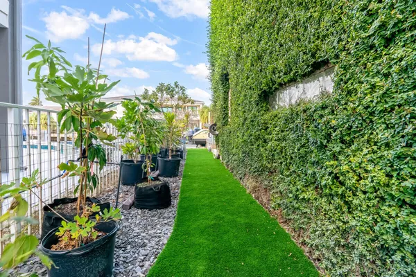 a view of a garden with a flower in a garden