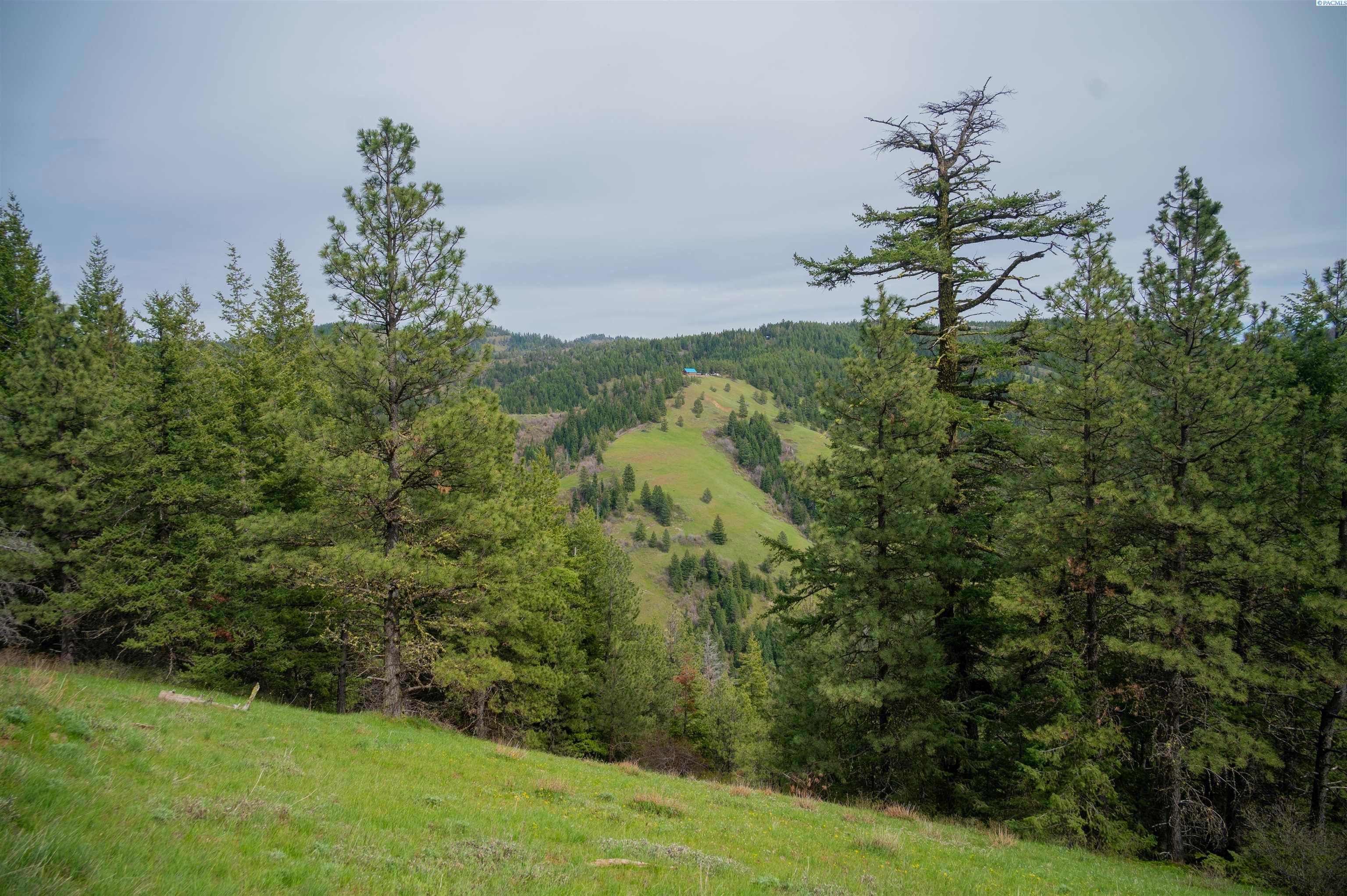 Unk20 Blacksnake Ridge Road Walla Walla, WA 99362 - Photo 22 of 41 Gallery Image 22