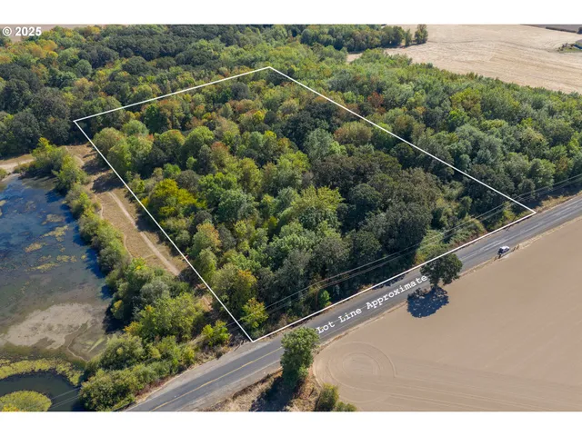 a view of a lake with a city